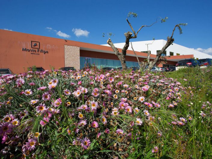 Monte Filipe Hotel