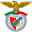 S. L. Benfica