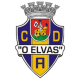 O Elvas Clube Alentejano de Desportos