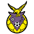 Grupo Desportivo Aldeia Nova