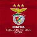 Benfica Escolas de Futebol Évora